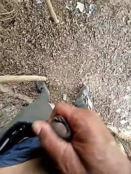 Snapshot of breejs chatting on October 23, 2025, 6:02 am breejs online show from October 23, 2025, 6:02 am