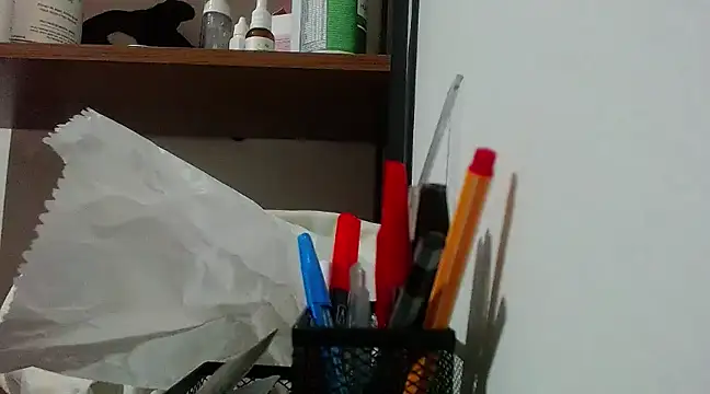 Snapshot of Sangelll chatting on January 11, 2025, 11:56 pm Sangelll online show from January 11, 2025, 11:56 pm