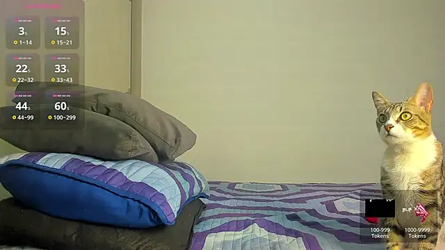 caroline tovar online show from November 29, 2025, 1:30 am