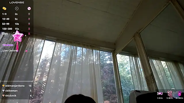 Snapshot of PixieLand chatting on January 29, 2025, 11:41 am PixieLand online show from January 29, 2025, 11:41 am