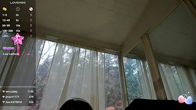 Snapshot of PixieLand chatting on February 8, 2025, 1:11 pm PixieLand online show from February 8, 2025, 1:11 pm