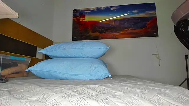 Snapshot of _ebony-queen_ chatting on February 28, 2025, 11:58 am ebony-queen online show from February 28, 2025, 11:58 am