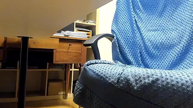 leccaleccafiga online show from November 17, 2025, 9:31 pm