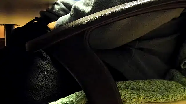 leccaleccafiga online show from February 3, 2026, 8:30 am