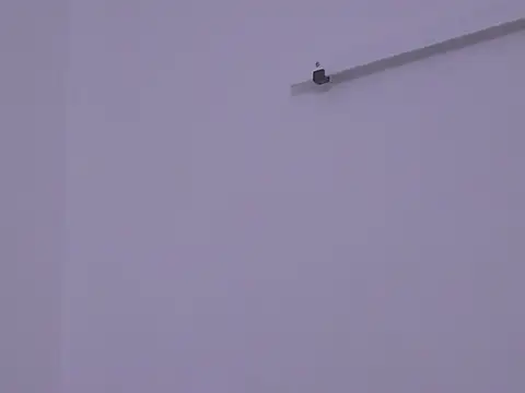 Snapshot of BustyMadison chatting on November 13, 2025, 9:19 am BustyMadison online show from November 13, 2025, 9:19 am