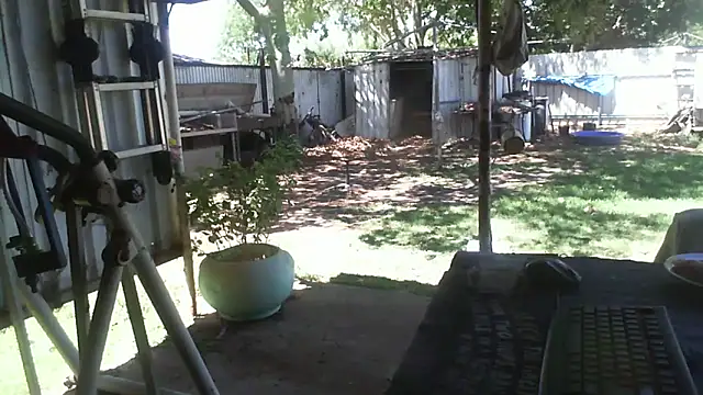 Snapshot of herbie010666 chatting on December 2, 2025, 3:56 am herbie010666 online show from December 2, 2025, 3:56 am