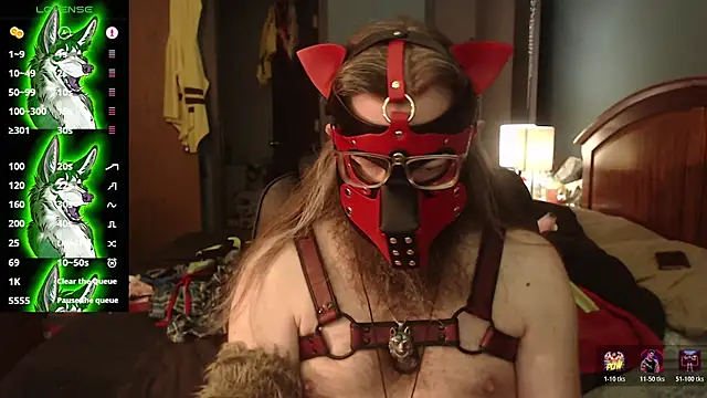 kinkywolf429 online show from July 22, 2026, 3:48 pm