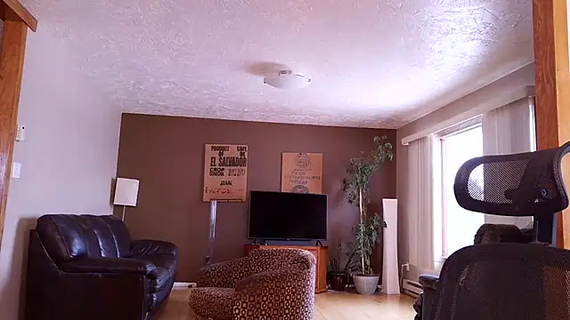 BasicAnt online show from March 17, 2026, 1:47 pm