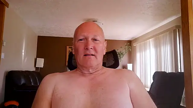 BasicAnt online show from June 14, 2026, 2:08 pm