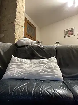 steph19x5 online show from March 14, 2026, 6:19 am