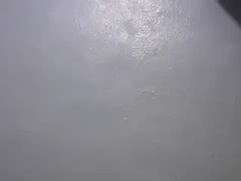 Forsia online show from January 7, 2025, 3:24 am