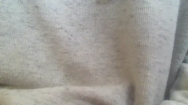 Snapshot of OralDesires2 chatting on February 17, 2025, 3:20 pm OralDesires2 online show from February 17, 2025, 3:20 pm