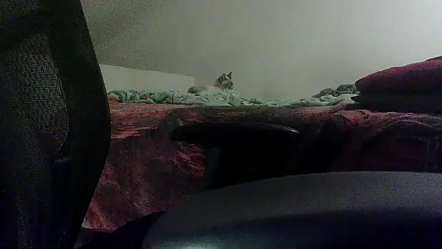 Snapshot of OralDesires2 chatting on February 19, 2025, 11:46 pm OralDesires2 online show from February 19, 2025, 11:46 pm