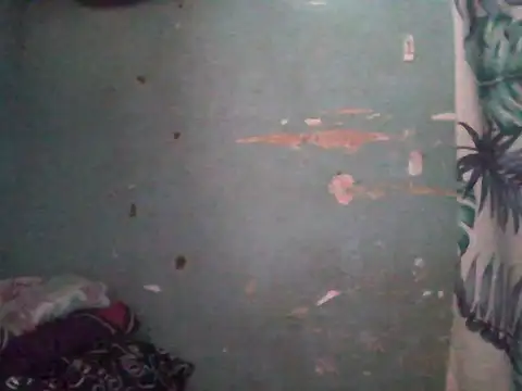 Snapshot of Silly_Girl21 chatting on February 26, 2026, 4:22 am Silly Girl21 online show from February 26, 2026, 4:22 am