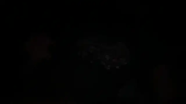 Snapshot of waveonce- chatting on December 14, 2025, 7:36 am waveonce- online show from December 14, 2025, 7:36 am