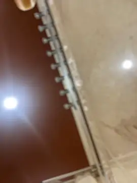 dingoding online show from March 21, 2025, 6:51 pm