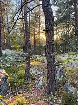 Snapshot of Andreashow chatting on October 19, 2025, 2:29 pm Andreashow online show from October 19, 2025, 2:29 pm