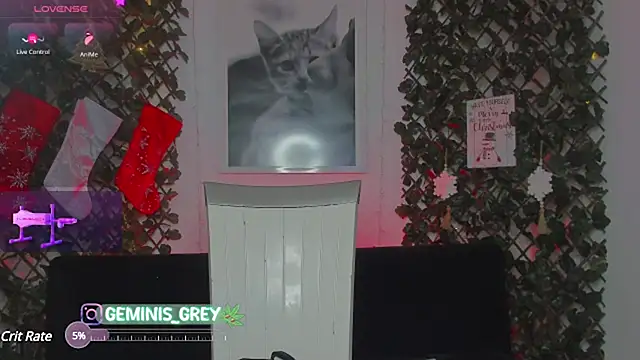 Snapshot of 420Geminis chatting on January 28, 2025, 3:15 am 420Geminis online show from January 28, 2025, 3:15 am