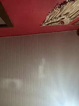 pimenta gaby online show from March 8, 2026, 2:43 pm