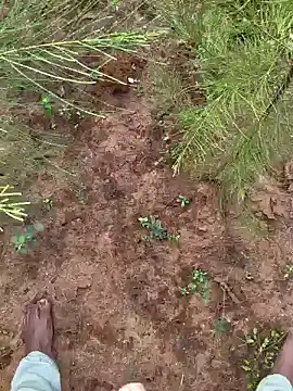 Snapshot of Gopal1243 chatting on December 9, 2024, 3:29 am Gopal1243 online show from December 9, 2024, 3:29 am