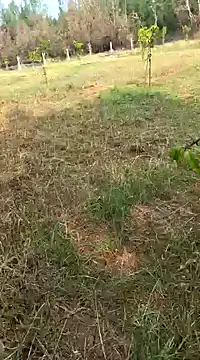 Snapshot of Gopal1243 chatting on February 11, 2025, 4:01 am Gopal1243 online show from February 11, 2025, 4:01 am