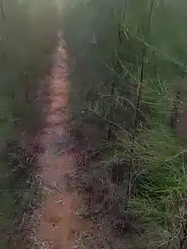 Snapshot of Gopal1243 chatting on March 1, 2025, 1:22 am Gopal1243 online show from March 1, 2025, 1:22 am