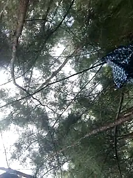 Snapshot of Gopal1243 chatting on September 28, 2025, 6:19 am Gopal1243 online show from September 28, 2025, 6:19 am