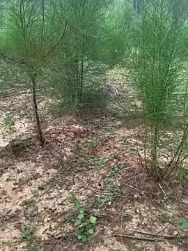 Snapshot of Gopal1243 chatting on November 24, 2025, 2:11 am Gopal1243 online show from November 24, 2025, 2:11 am