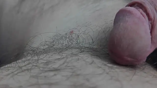 Snapshot of Fist-my-ass chatting on November 24, 2025, 8:03 am Fist-my-ass online show from November 24, 2025, 8:03 am