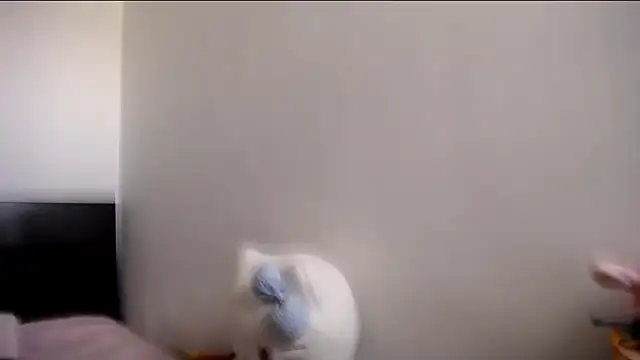 MARIANADIRTY online show from November 11, 2025, 2:17 pm