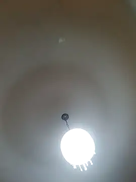 White rabbit  online show from February 26, 2025, 7:16 pm