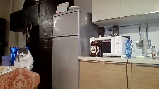 woww791 online show from October 7, 2025, 5:43 pm