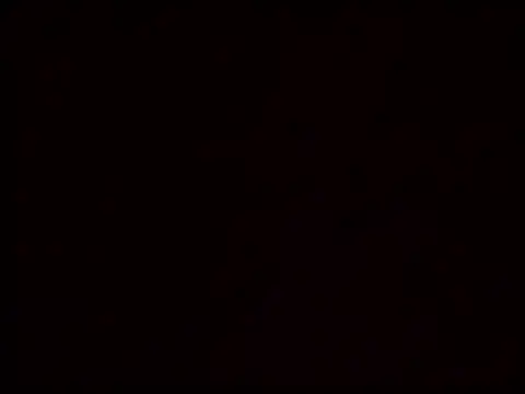 Vicusgdl online show from March 29, 2026, 9:42 am