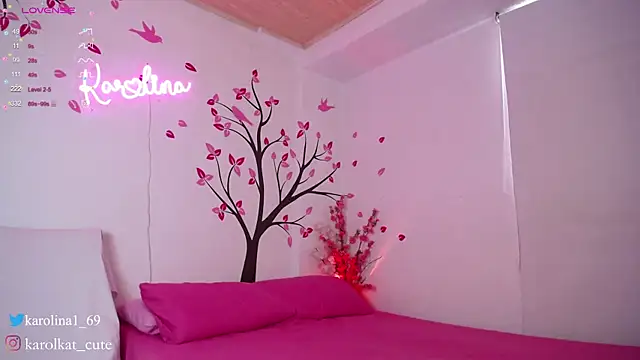 Karolina 1 online show from January 27, 2025, 4:22 pm