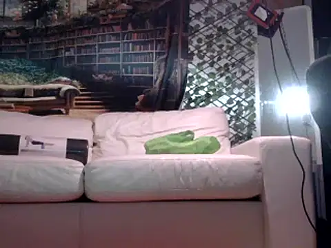 Snapshot of OSIRlS chatting on February 19, 2025, 1:17 pm OSIRlS online show from February 19, 2025, 1:17 pm