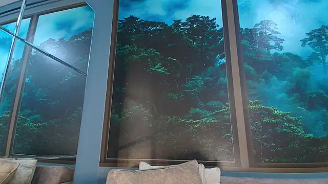 JONAS SMITH  online show from February 1, 2025, 6:29 pm