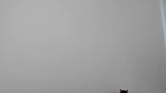 All yours555 online show from October 17, 2025, 8:55 pm