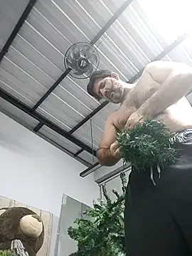 Maxi TheBigDaddy online show from January 11, 2026, 11:43 pm