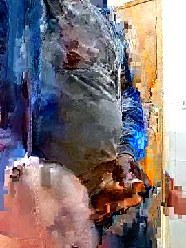 Jeffikuis online show from September 23, 2025, 3:31 am