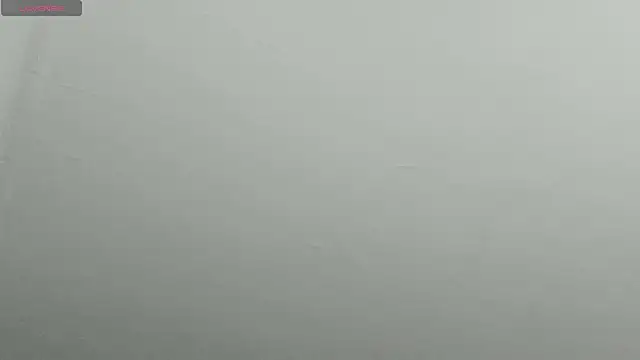 Snapshot of natasha_logan_ chatting on February 9, 2025, 4:25 am natasha logan online show from February 9, 2025, 4:25 am