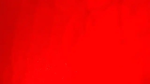 KarimaSarabe online show from November 28, 2025, 9:17 pm