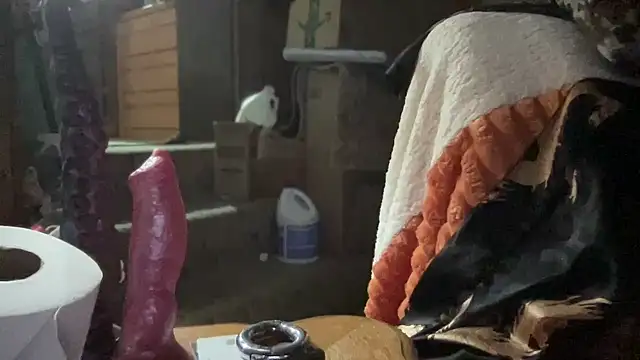 44jon44 online show from November 26, 2025, 3:40 am