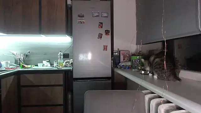 Snapshot of delightful_sofi chatting on September 28, 2025, 7:19 pm delightful sofi online show from September 28, 2025, 7:19 pm