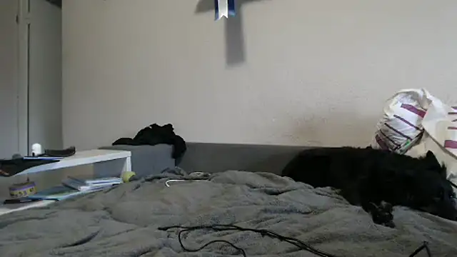 Snapshot of delightful_sofi chatting on October 9, 2025, 2:26 pm delightful sofi online show from October 9, 2025, 2:26 pm