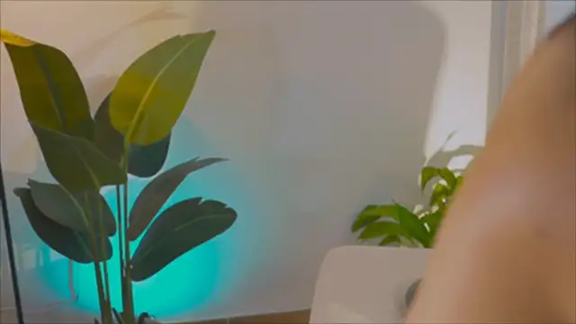 Snapshot of anabelcurvy chatting on February 6, 2025, 4:03 pm anabelcurvy online show from February 6, 2025, 4:03 pm