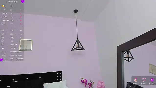 Snapshot of CeliWoods chatting on January 8, 2025, 11:21 am CeliWoods online show from January 8, 2025, 11:21 am