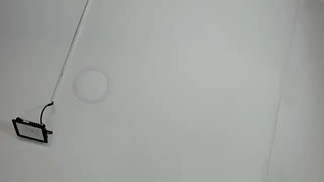 Snapshot of CeliWoods chatting on October 12, 2025, 11:20 am CeliWoods online show from October 12, 2025, 11:20 am