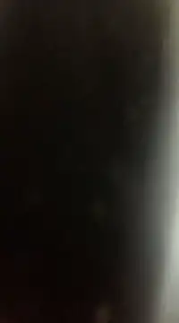 Likewise online show from December 22, 2024, 9:09 pm