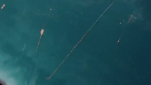 Snapshot of CharlotteBigCock chatting on January 12, 2025, 3:25 pm CharlotteBigCock online show from January 12, 2025, 3:25 pm