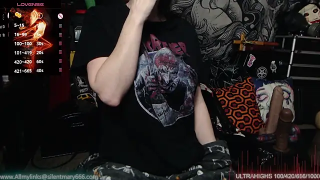 Silentmary online show from February 8, 2025, 10:50 am